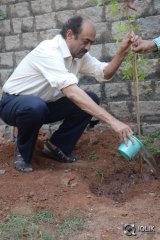  Venkatesh At Haritha Haaram Event